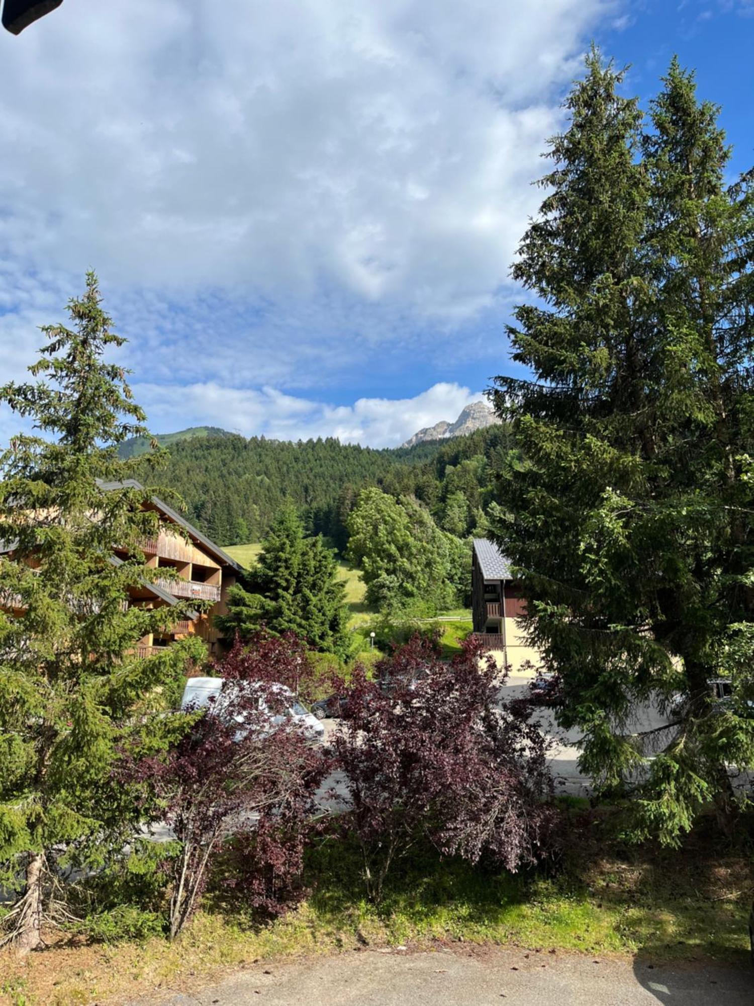 Cosy 2 Pieces Proche Chatel Abondance Exterior photo